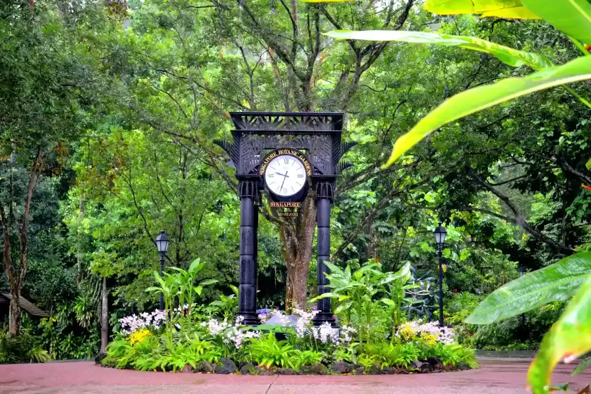 Singapore Botanic Gardens & National Orchid Garden